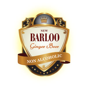 Barloos.com - IDK IT SOLUTIONS