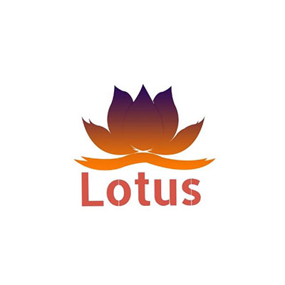 Lotus Impex - IDK IT SOLUTIONS